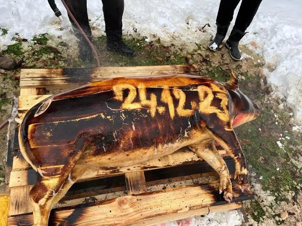 WhatsApp Image 2023-12-29 at 17.37.28(6)